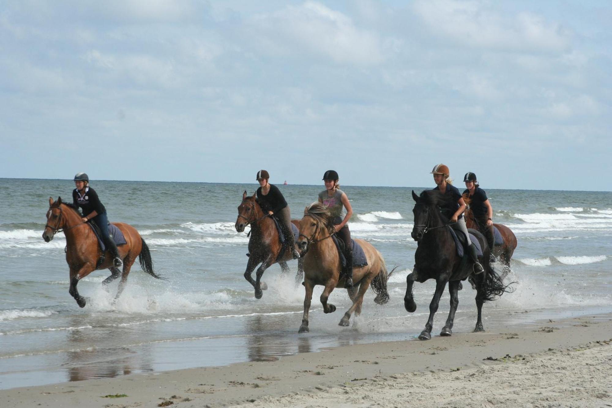 Donia Huys Hotel Vlieland Bagian luar foto